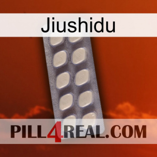 Jiushidu 08